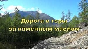 Дорога в горы за каменным маслом