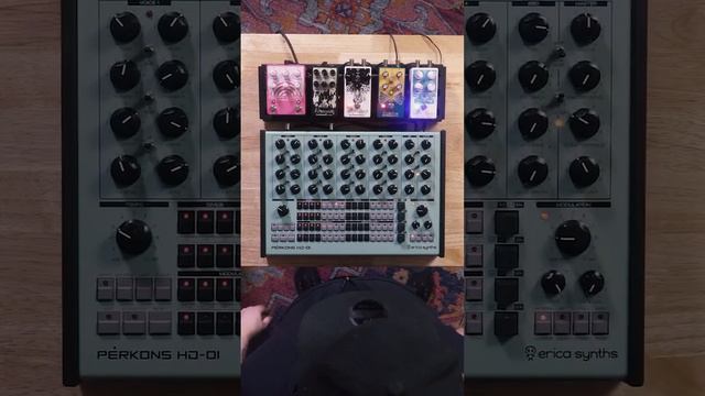 Pairing EQD pedals with the Erica Synths Pērkons HD-01 Synthesizer #ericasynths