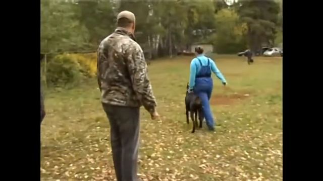 Основы дрессировки служебной собаки