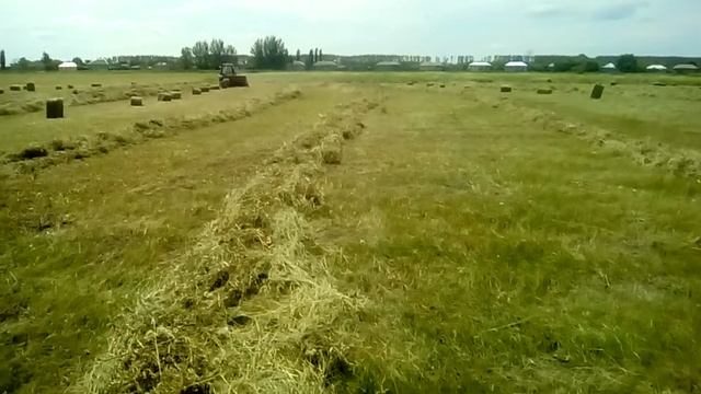 Два пресса сипма,прессовка лугового сена!