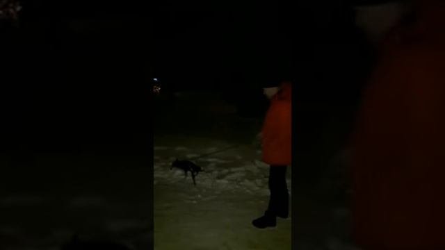 Зачем солнце монако,Салтыково-!!!