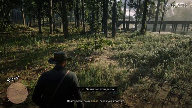 RDR 2 -Шарлотта Бальфур