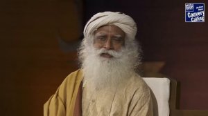 Зачем нужно сажать деревья