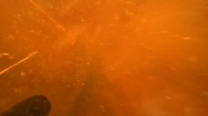 Поймал 100кг сазанов в ручье Сибирского Странника Подводная охота 2021 Рыбалка на сазана в Ютубовке