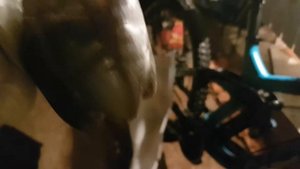 Чистка цепи от ржавчины керосином [АКТУАЛЬНОЕ]