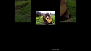 Андрей Бандера - Ты лети моя душа (Караоке Кавер) #АндрейБандера #тылетимоядуша #Караоке #Кавер