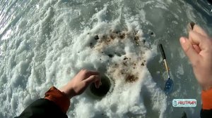 Sj5000 plus Зимняя рыбалка на Ладоге (Коккорево), плотва.