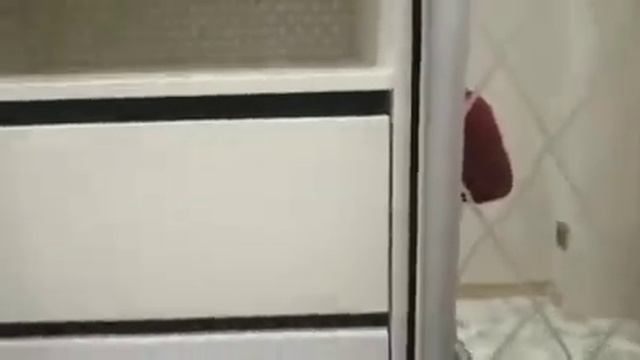 Простой стильный шкаф купе в коридор