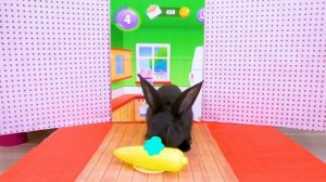 Говорящая Бекка в реальной жизни играет с Ангелой - Истории для детей