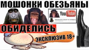 ✅ Эксклюзив! Вася ты зачем меня обозвал мошонкой на канале мошенники звонят по телефону
