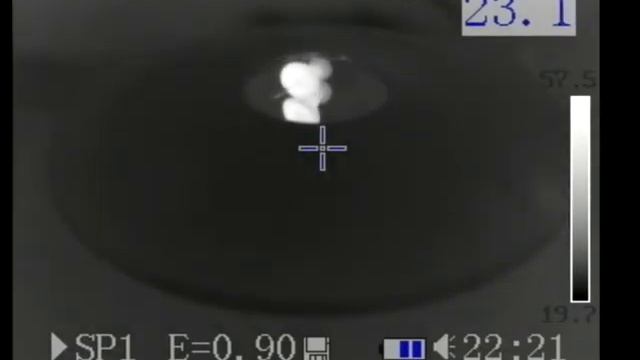 Real Thermography of a virtual object смотреть онлайн