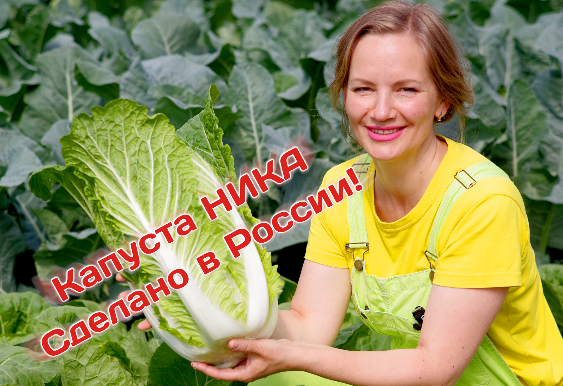 Пекинская капуста Ника