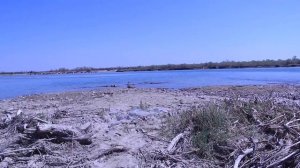 Маевка на Или / Смотрим рыбные места / Косяки рыб / Алматинская область