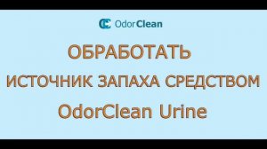 Устранение запаха мочи с ламината, паркета и других покрытий