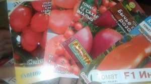 Как подготовить семена помидор к посадке