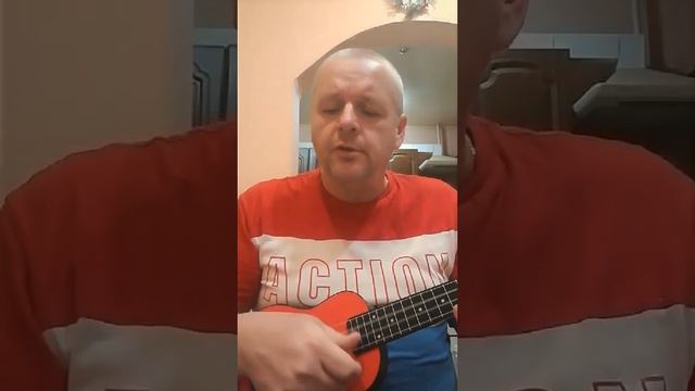 Девочка пай 2 на укулеле#укулеле#михаилкруг#девочкапай