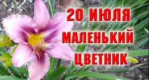 20 июля. Работы в цветниках продолжаются. Что у меня здесь растет