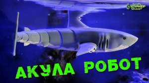Акула на радиоуправлении. Плавающий робот