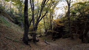 Каньоны и крепость Биртвиси. Грузия.