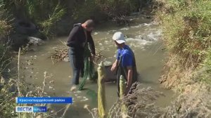 Ученые из Херсонской области и Севастополя изучают экосистему крымской реки