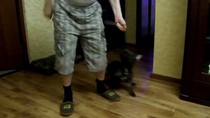 Карусель II.mp4