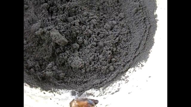 Невероятно! Капустянка в тазике! смотреть онлайн