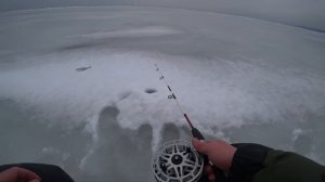 Эстонский комбайн. Блесна Топорик. Плотва. Судак. Окунь. Рыбалка в Комарово.
