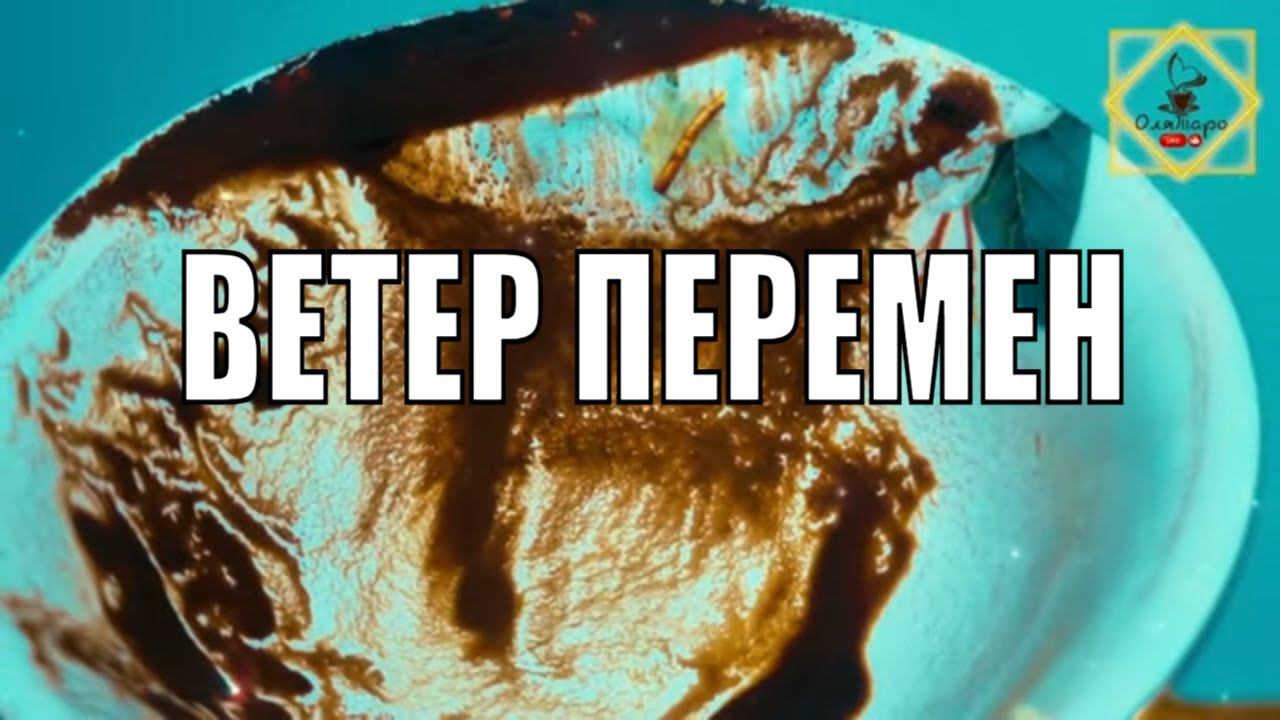 РЕЗКИЙ ВЕТЕР ПЕРЕМЕН ⛵️ #ответуолятаро #olgabo666888999 #youtubeshorts
