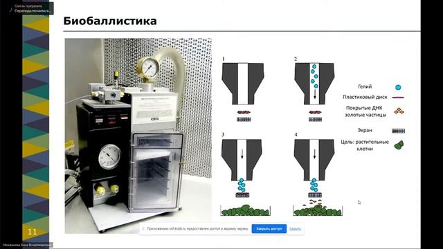 Вебинар "Биотехнологии ХХI века перспективы в исследованиях" смотреть онлайн