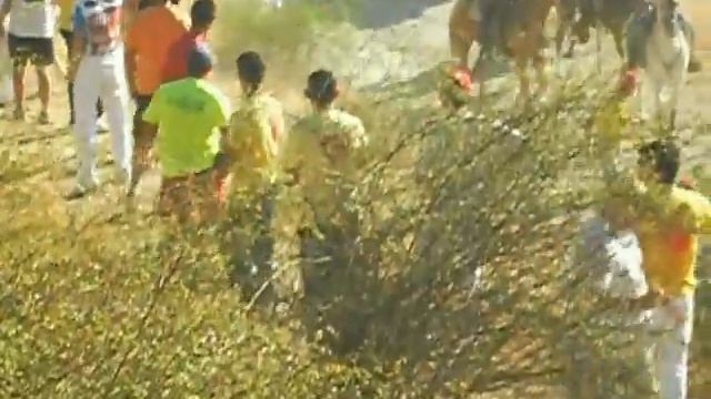 encierro por el campo brihuega cuesta de las naves 16-8-2012 maken2