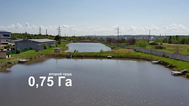 Рыбалка на платных прудах в Саратове. Загородный клуб "Березина речка"