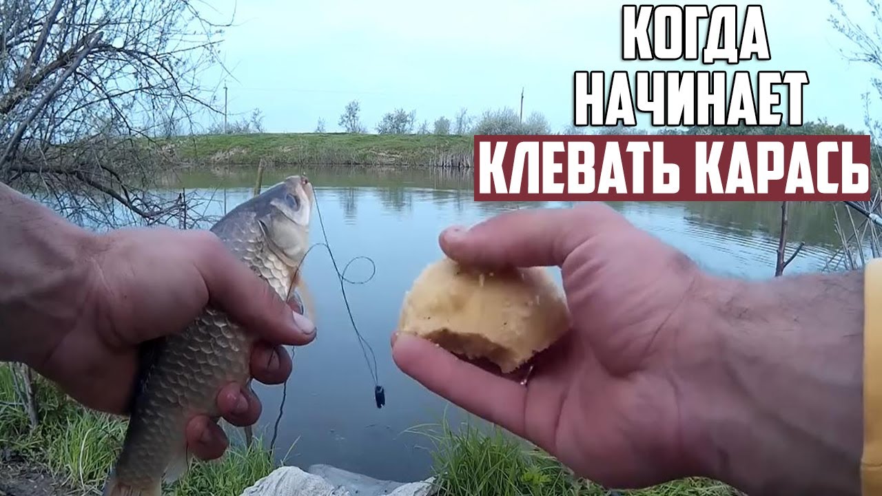 Рыбалка на карася на озерах