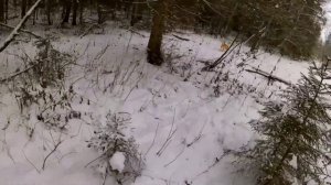 Заготовка валежника на мотоблоке мтз-05 зимой