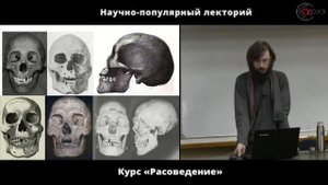 происхождение монголоидной расы