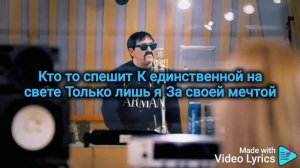 Владимир Ждамиров - А я несу тебе цветы (Караоке)