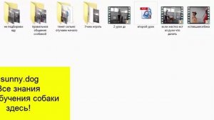 2 урок курса самостоятельная дрессировка собаки дома курс послушная собака