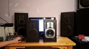 Jamo D110 Speaker review!