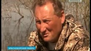На юге области нерест леща начался раньше обычного