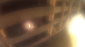 Как я забивал быка первый раз