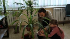 Родительская копилка "Социально-коммуникативное развитие детей с ОВЗ"