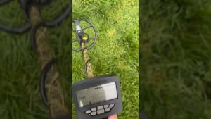 Garrett Apex versus Minelab X-Terra Pro.