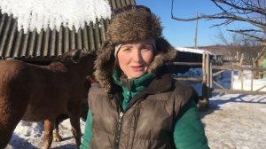 НА ЭТО НЕ ВОЗМОЖНО БЫЛО СМОТРЕТЬ И ПОДКЛЮЧИЛСЯ ЗРИТЕЛЬ КАНАЛА