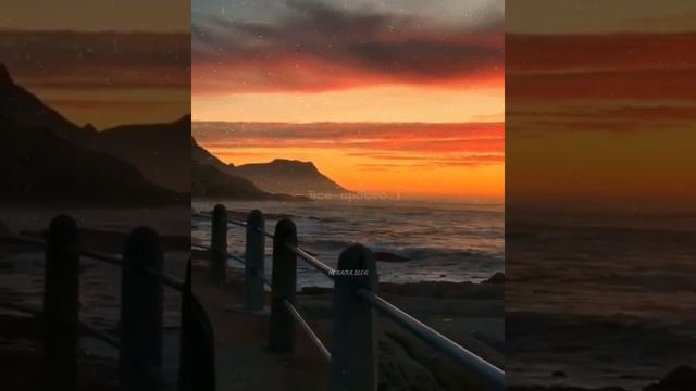 Исламские цитаты #58🌿