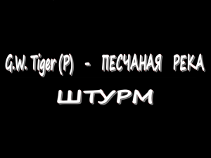 G.W. Tiger (P) - Песчаная река - Штурм