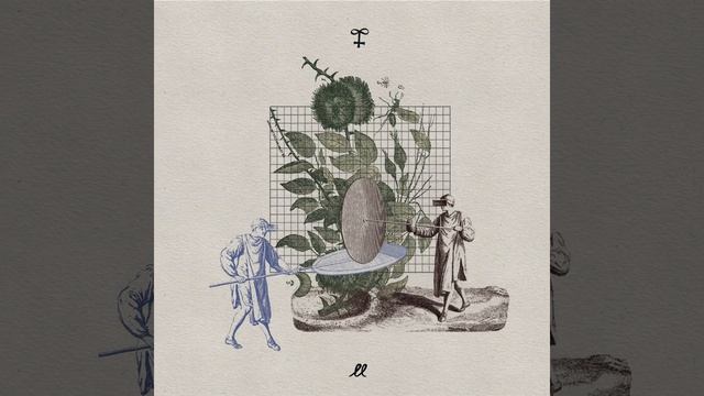 Orange Evening смотреть онлайн