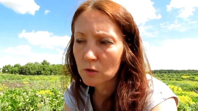 Чернозем. Путешествие к центру земли.