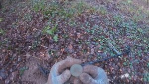 Поиск монет в Подмосковье! Сохран подвёл!!! Коп с Minelab equinox 600. Старая дорога снова радует!!