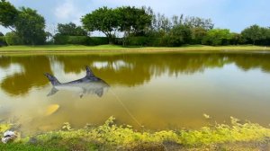 Nastya and the story about the tooth fairy