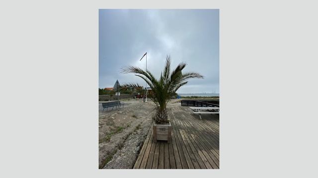 ВСЯ ПРАВДА об iPhone 11 Pro Max спустя 4 месяца использования. Честное мнение. смотреть онлайн