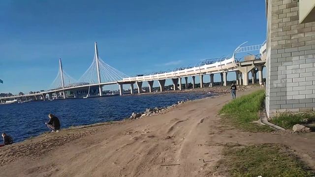 Секретный съезд ЗСД в Питере смотреть онлайн